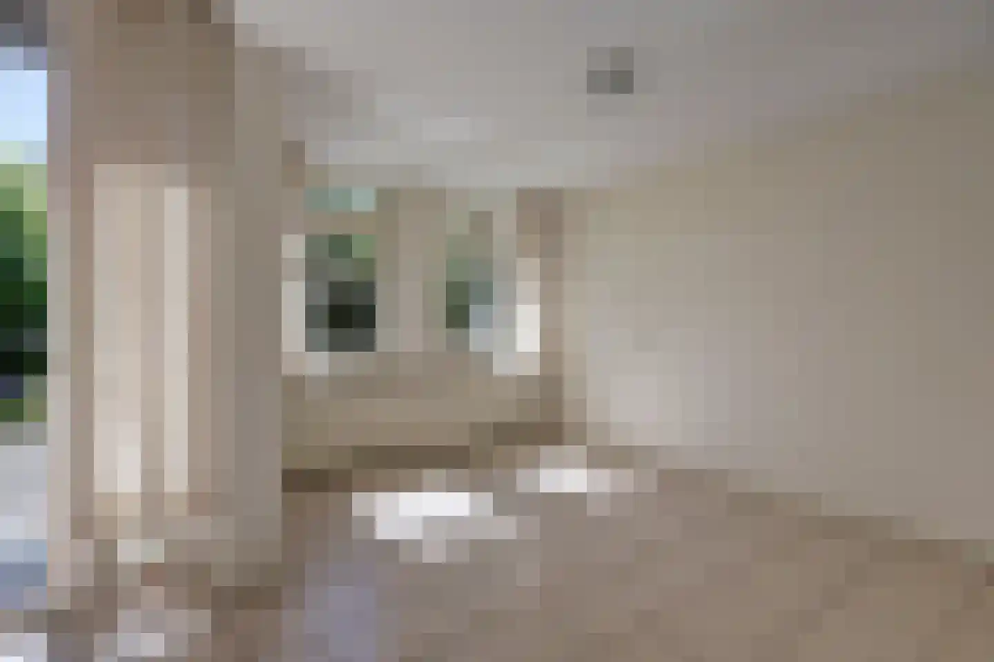 Londiniumdreef 39 Wijk bij Duurstede thumbnail 7