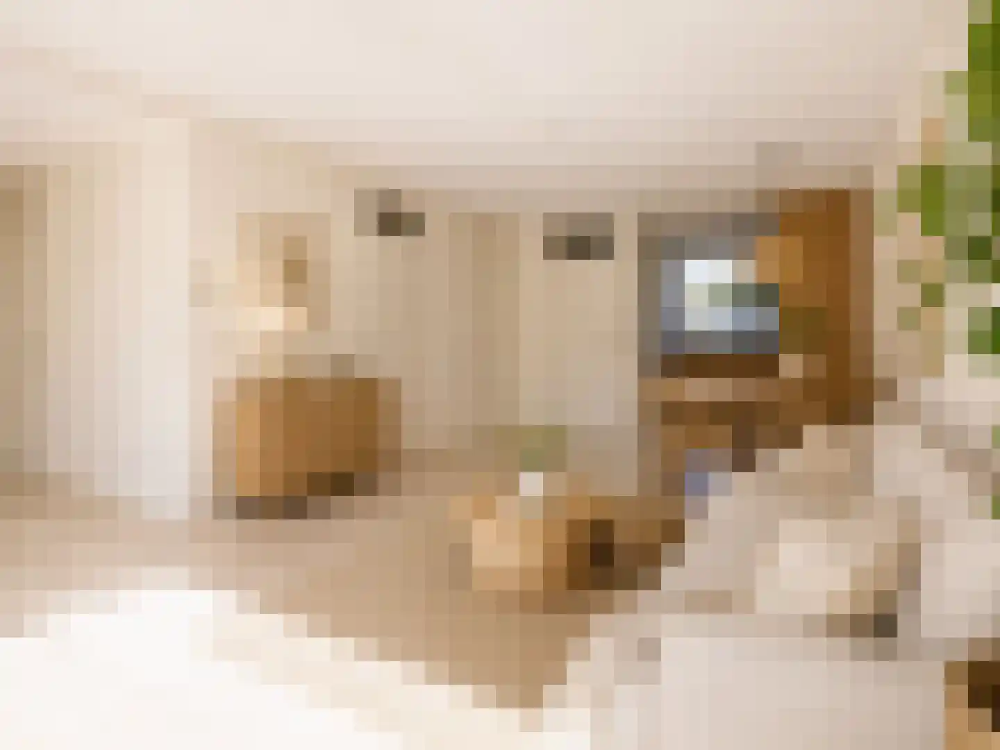 Londiniumdreef 39 Wijk bij Duurstede thumbnail 7
