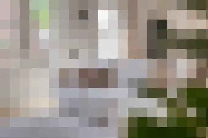 Londonstraat 26 Bergen op Zoom thumbnail 10