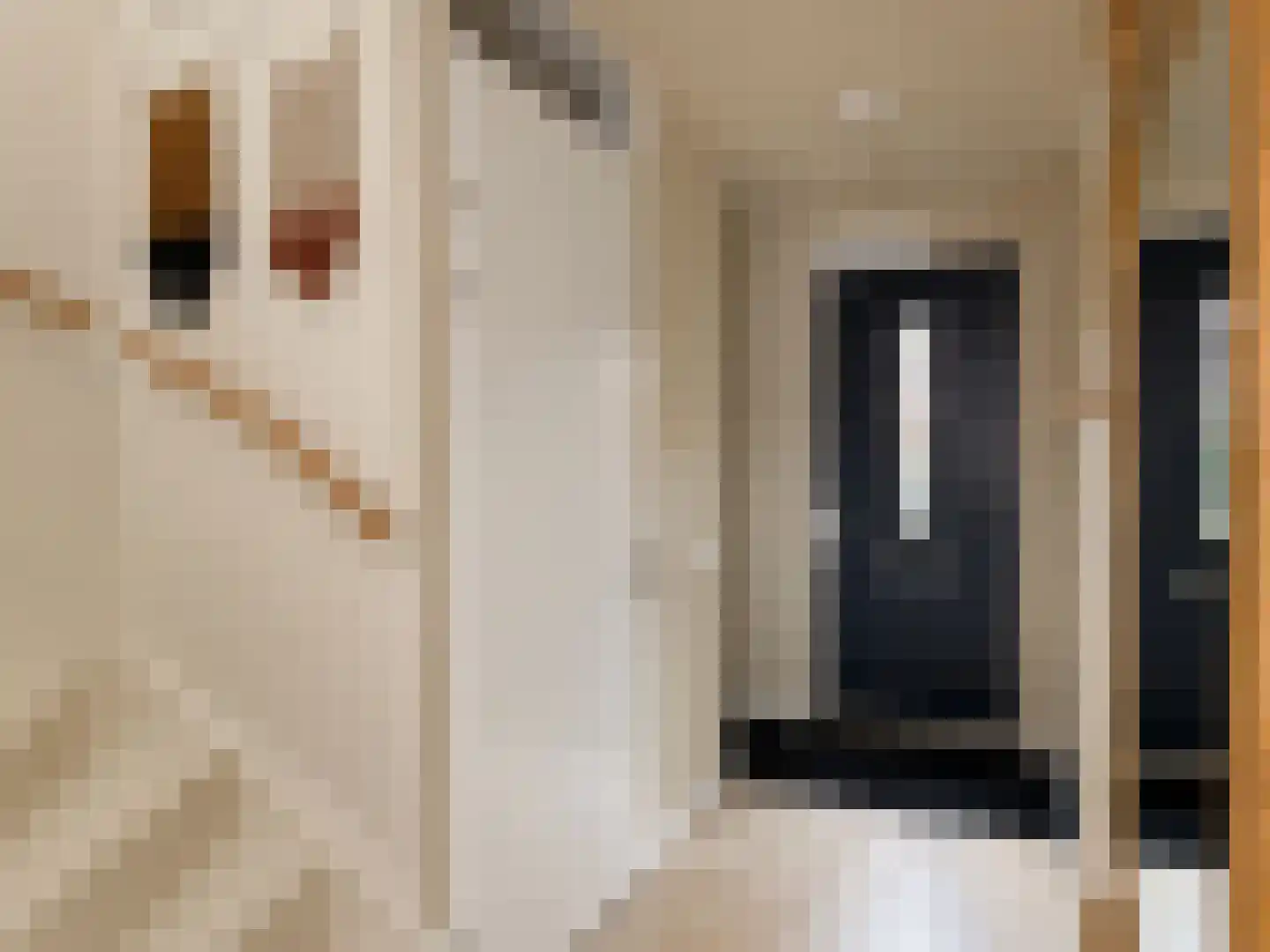 Londrinadreef 34 Utrecht thumbnail 11