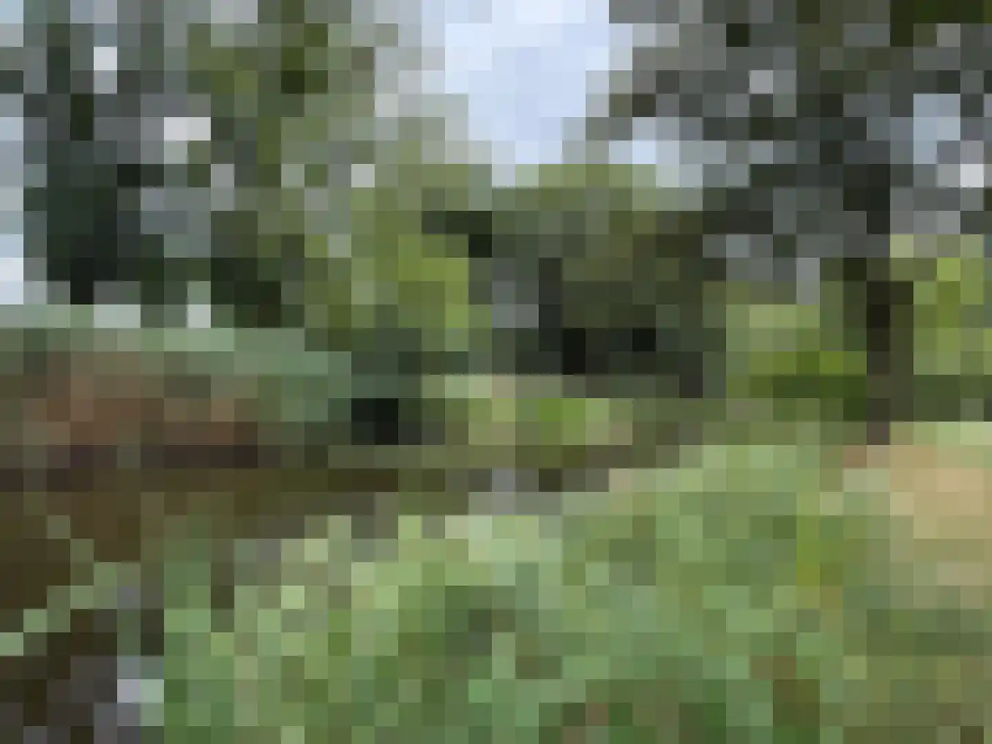 Londrinadreef 34 Utrecht thumbnail 31