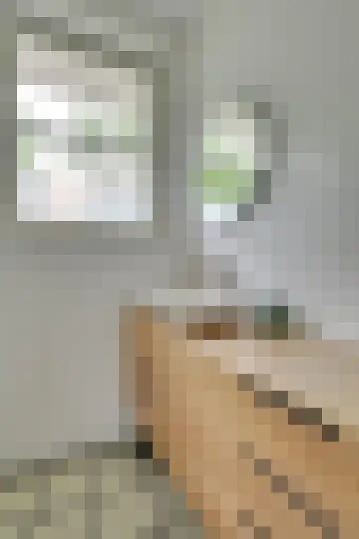 Londrinadreef 58 Utrecht thumbnail 41
