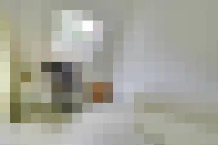 Londrinadreef 58 Utrecht thumbnail 44