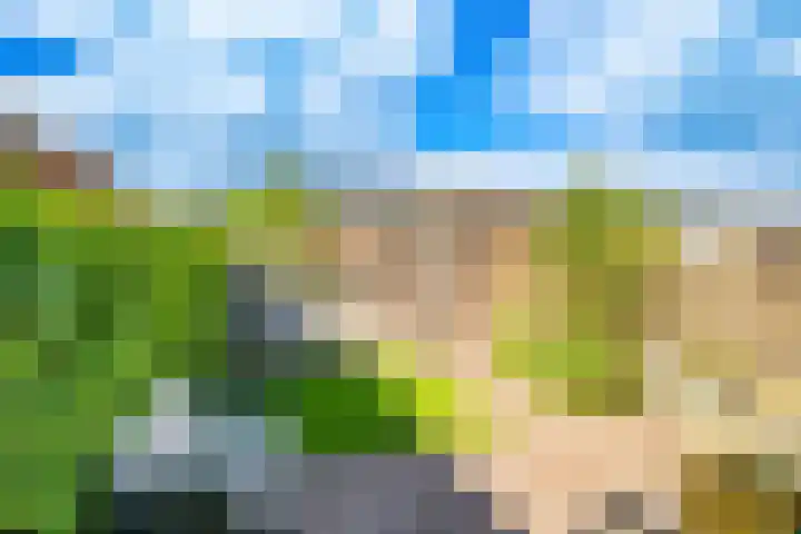 Londrinadreef 58 Utrecht thumbnail 49