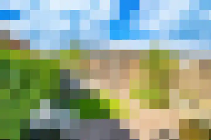 Londrinadreef 58 Utrecht thumbnail 5