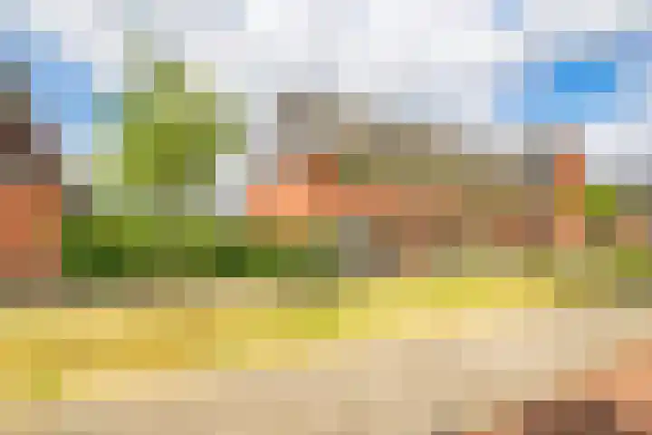 Londrinadreef 58 Utrecht thumbnail 56