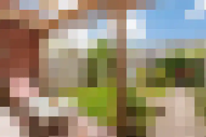 Londrinadreef 88 Utrecht thumbnail 19