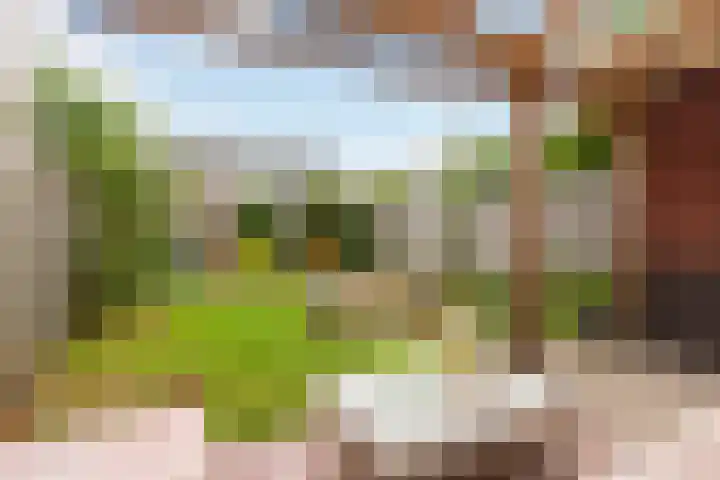 Londrinadreef 88 Utrecht thumbnail 20