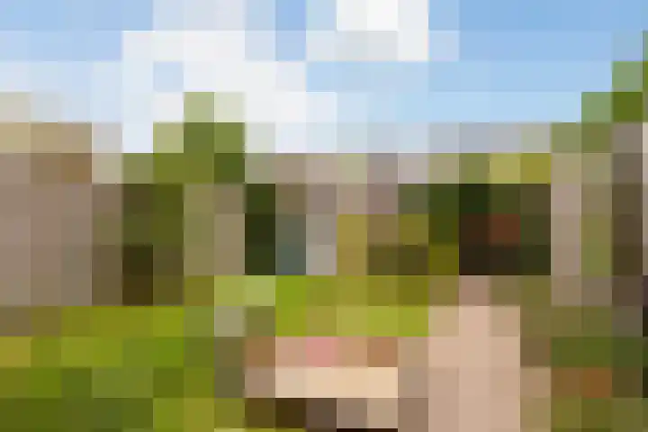 Londrinadreef 88 Utrecht thumbnail 21