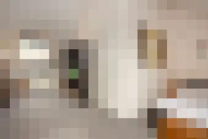 Londrinadreef 88 Utrecht thumbnail 41