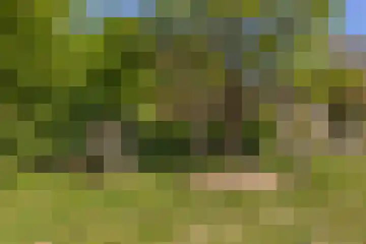Londrinadreef 88 Utrecht thumbnail 50