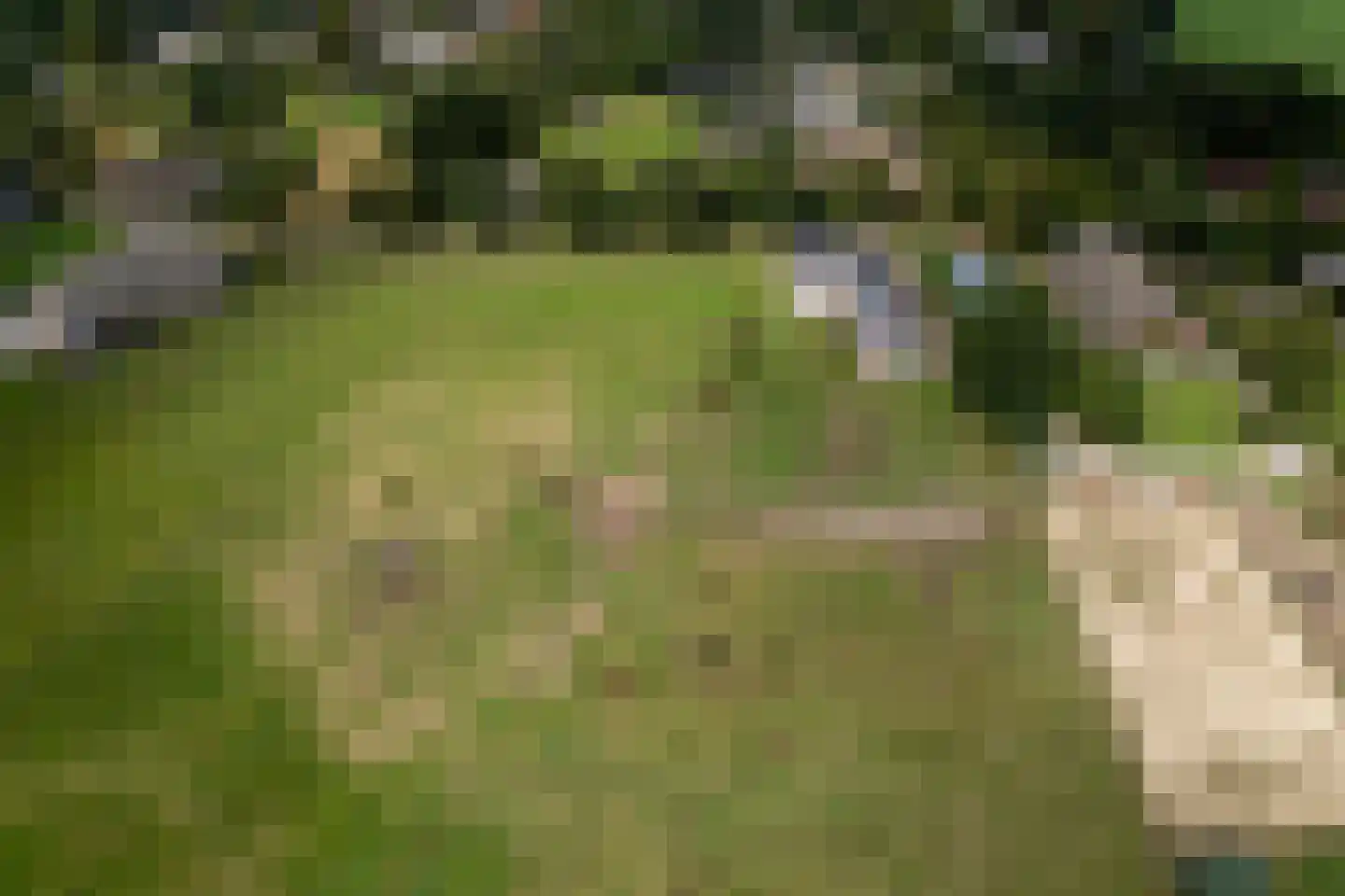 Lonerbroekweg 1 A Loon thumbnail 10