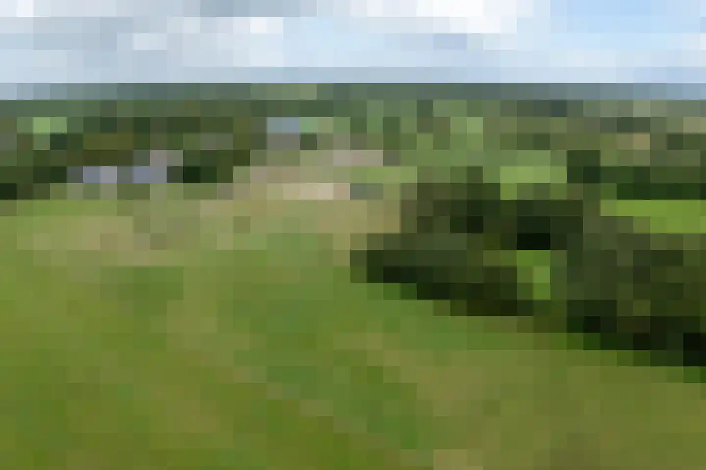 Lonerbroekweg 1 A Loon thumbnail 12