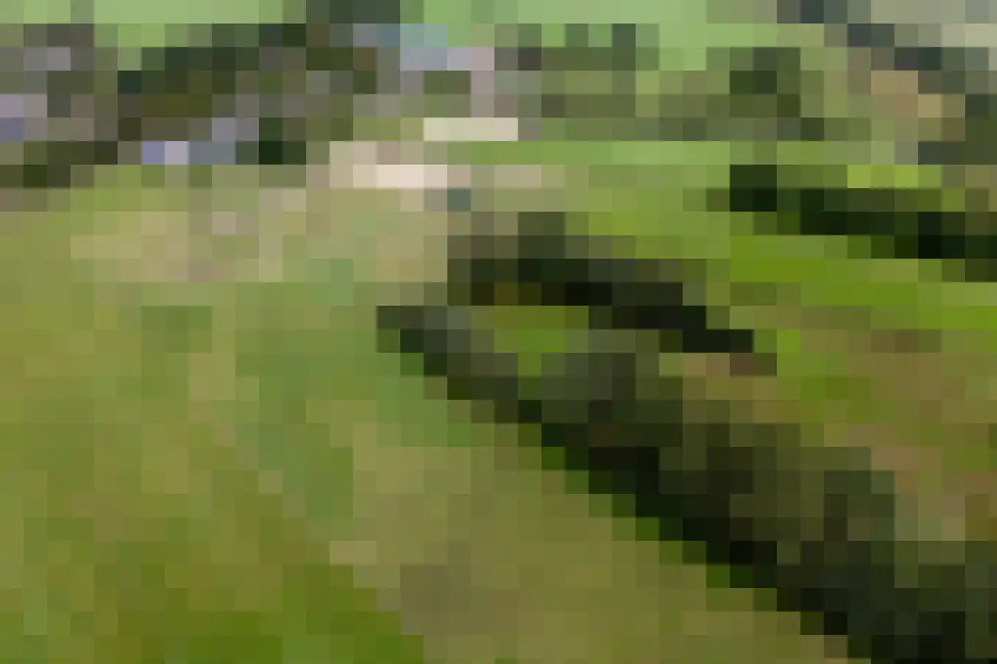 Lonerbroekweg 1 A Loon thumbnail 14