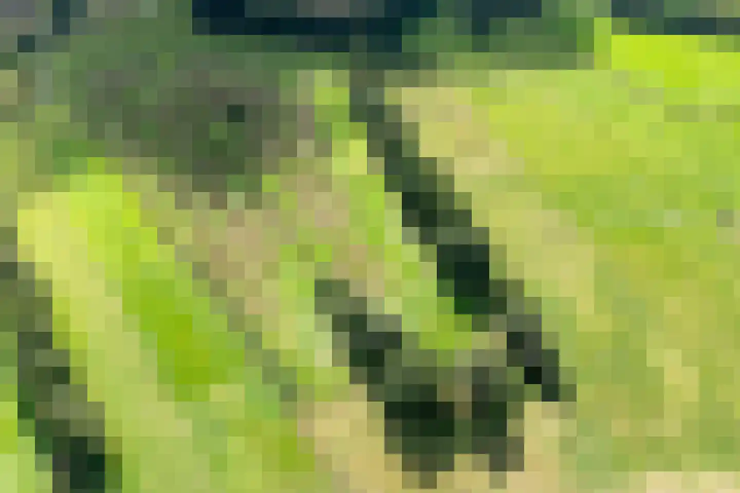 Lonerbroekweg 1 A Loon thumbnail 5