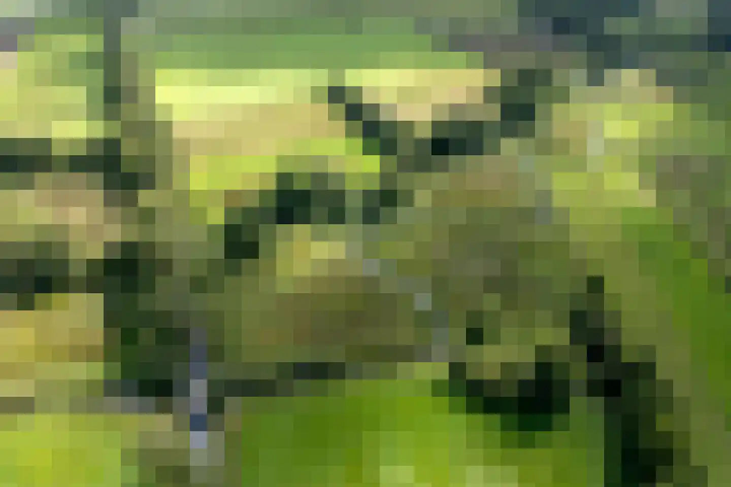 Lonerbroekweg 1 A Loon thumbnail 7