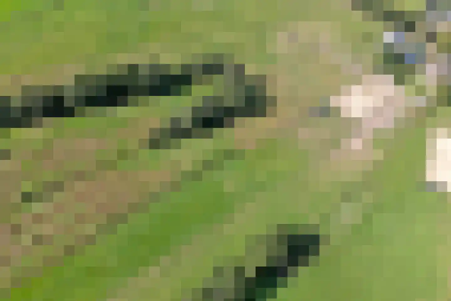 Lonerbroekweg 1 A Loon thumbnail 8