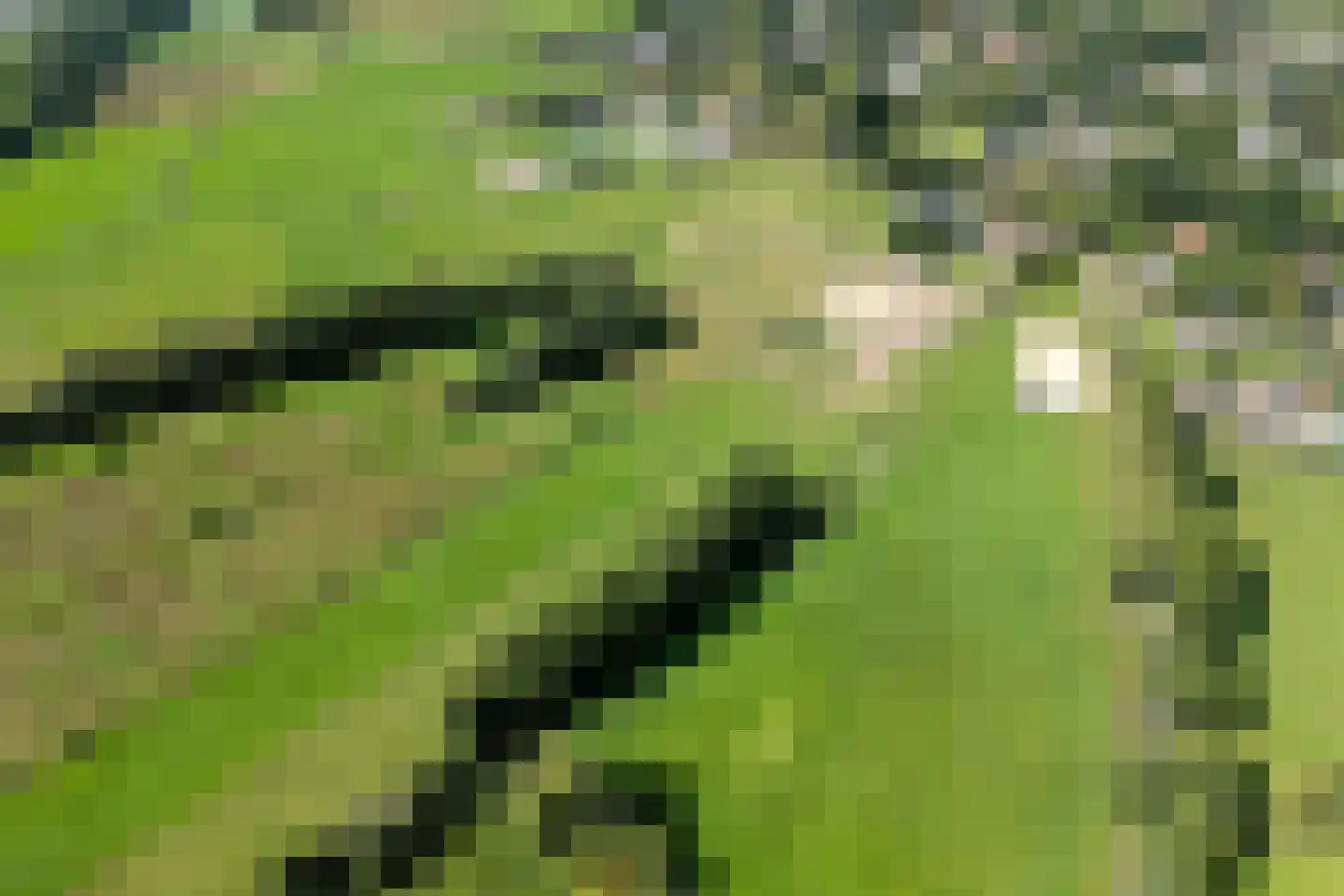 Lonerbroekweg 1 A Loon thumbnail 9