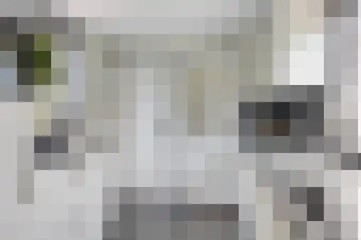 Lonerstraat 102 Assen thumbnail 14