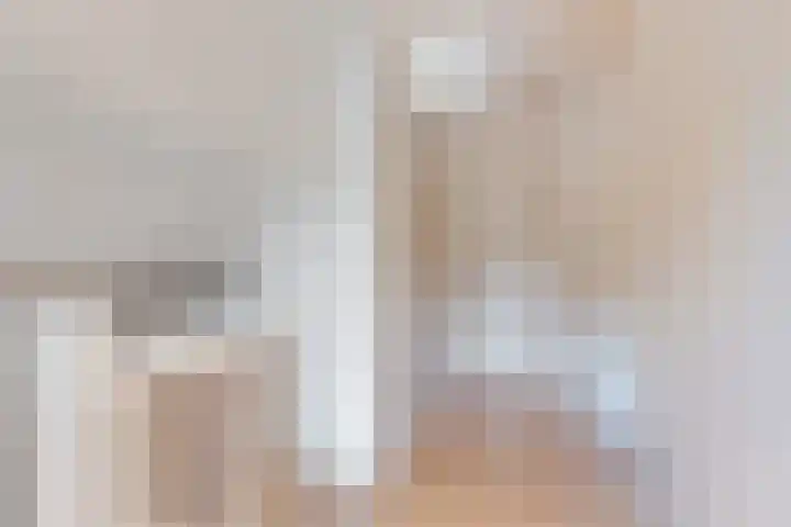 Lonerstraat 102 Assen thumbnail 20