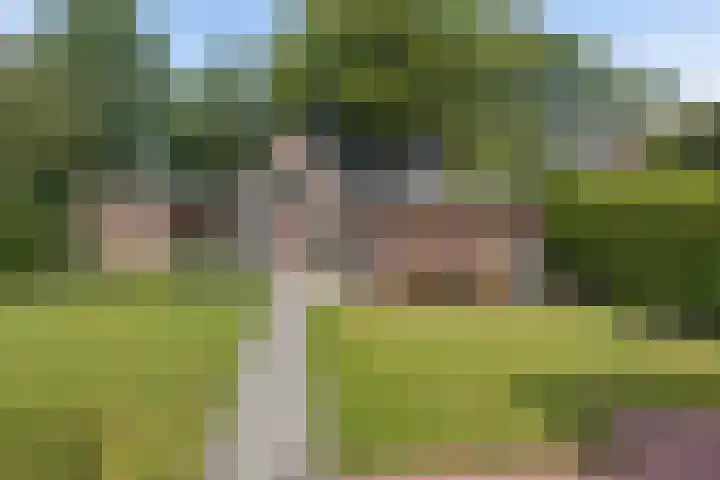 Lonerstraat 102 Assen thumbnail 29