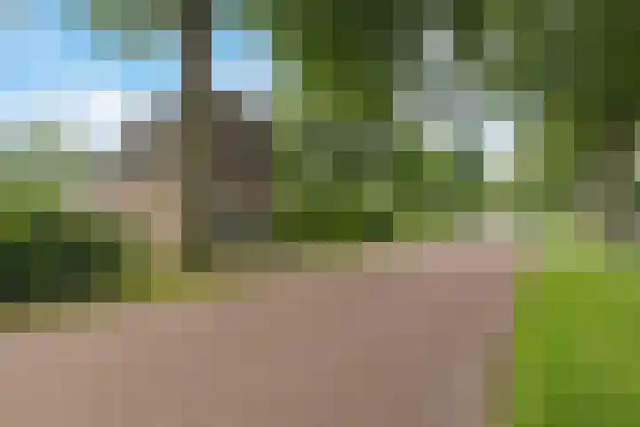 Lonerstraat 102 Assen thumbnail 32