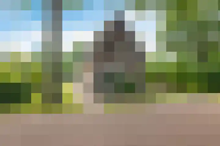 Lonerstraat 102 Assen thumbnail 4
