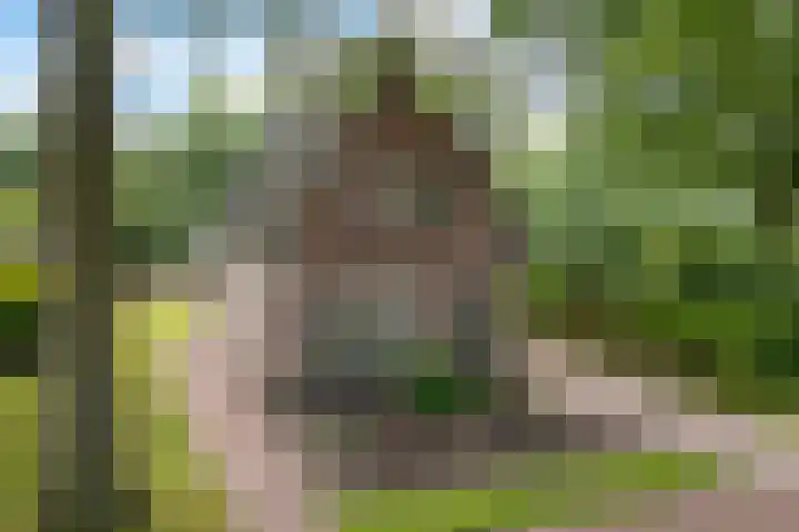 Lonerstraat 102 Assen thumbnail 5