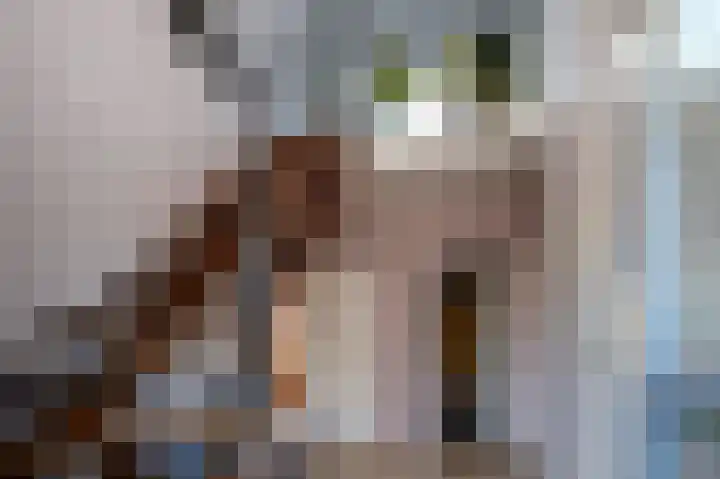 Lonerstraat 4 Assen thumbnail 26