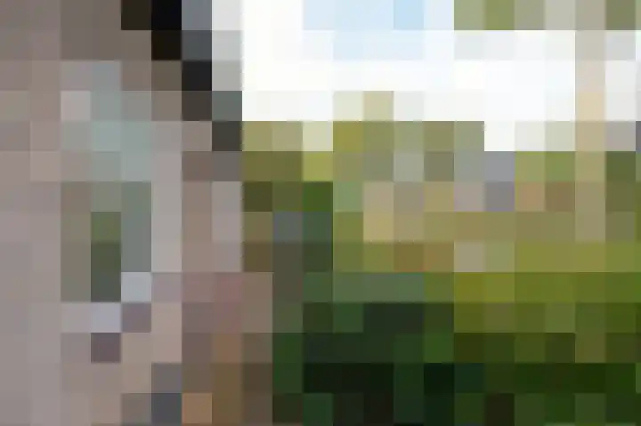 Lonerstraat 4 Assen thumbnail 45
