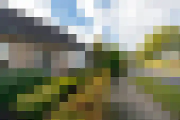 Lonerstraat 4 Assen thumbnail 46