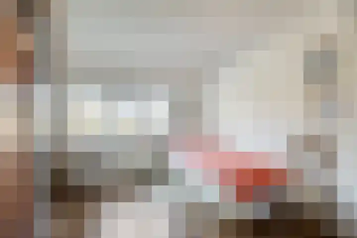 Longinastraat 26 Maastricht thumbnail 18