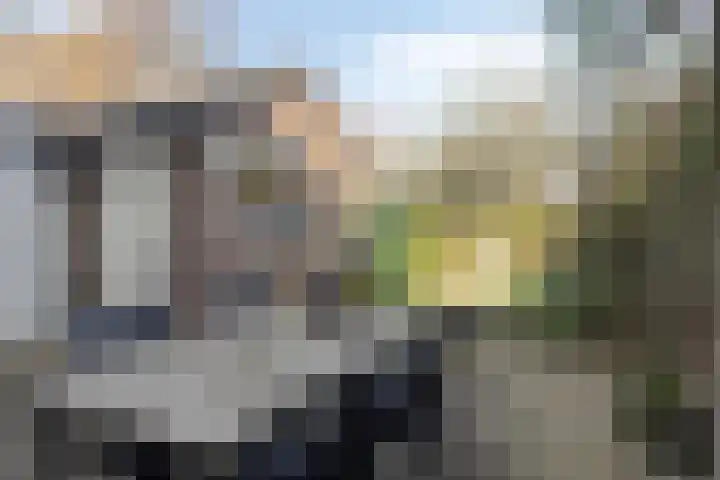 Longinastraat 26 Maastricht thumbnail 22