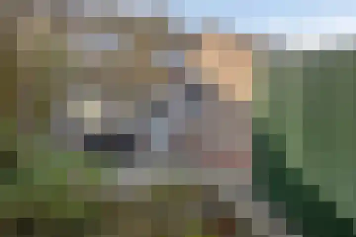 Longinastraat 26 Maastricht thumbnail 24