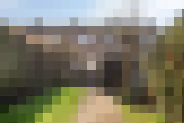 Longinastraat 26 Maastricht thumbnail 25