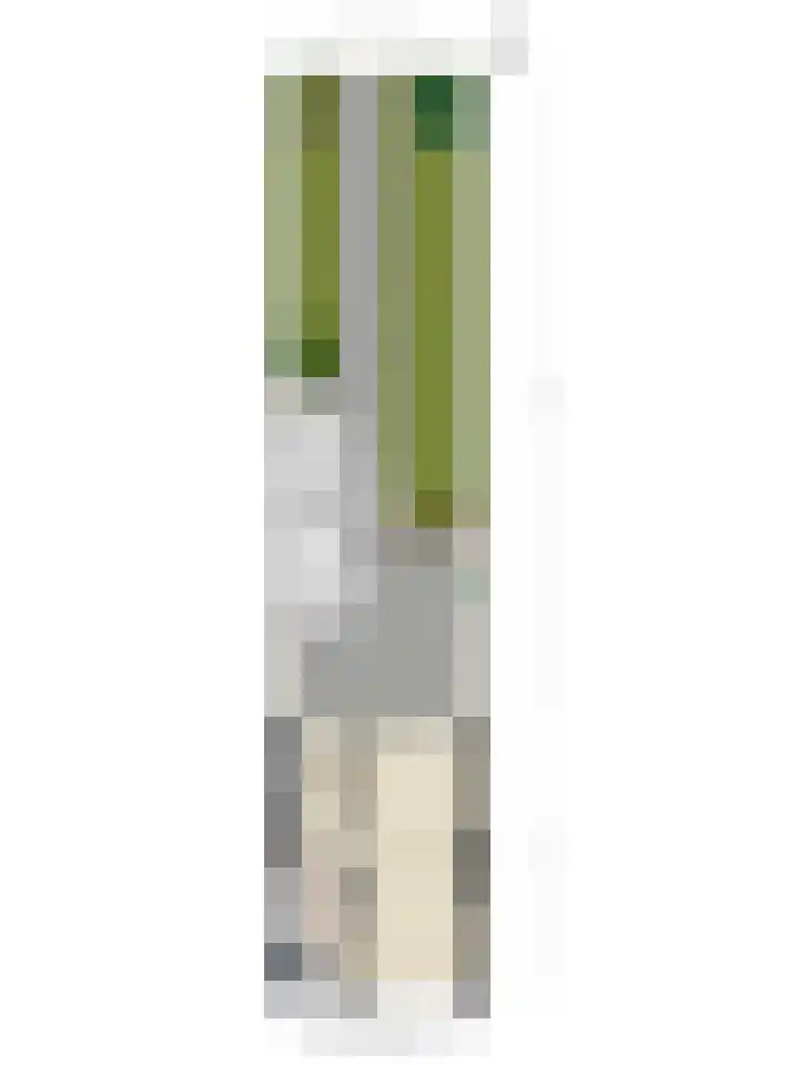 Longinastraat 26 Maastricht thumbnail 31