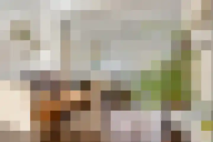 Longinastraat 26 Maastricht thumbnail 6