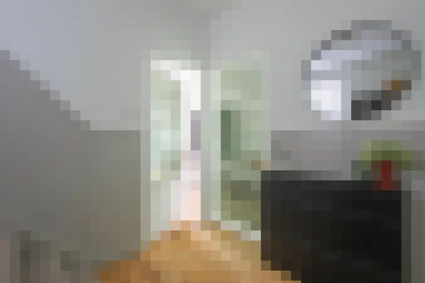 Longinastraat 27 Maastricht thumbnail 13
