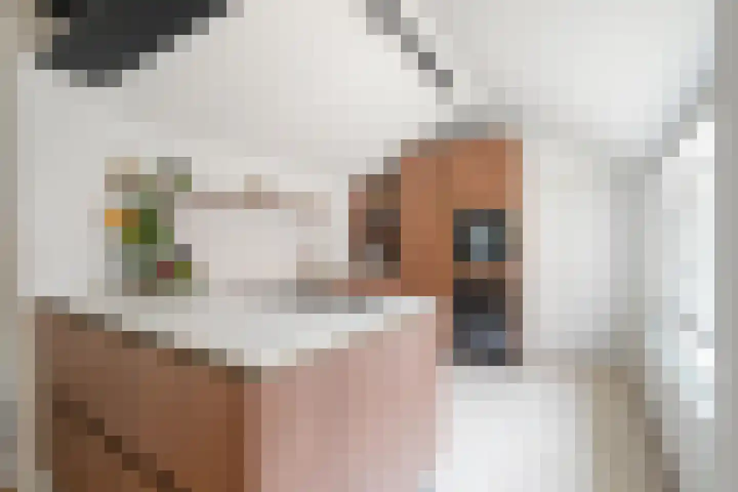 Longinastraat 27 Maastricht thumbnail 4