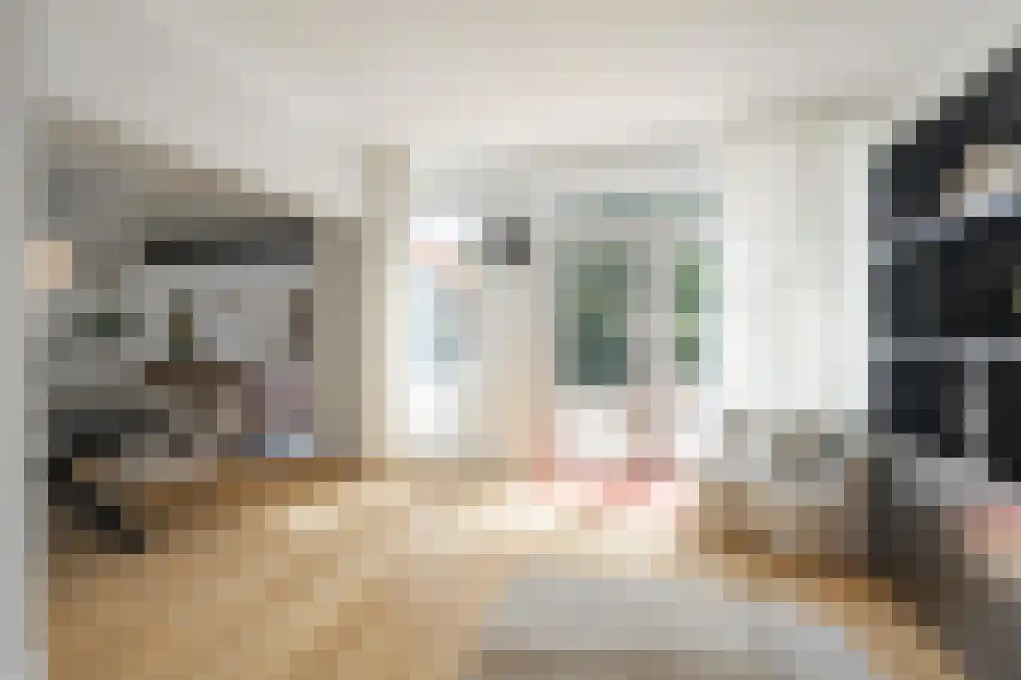 Longinastraat 27 Maastricht thumbnail 9