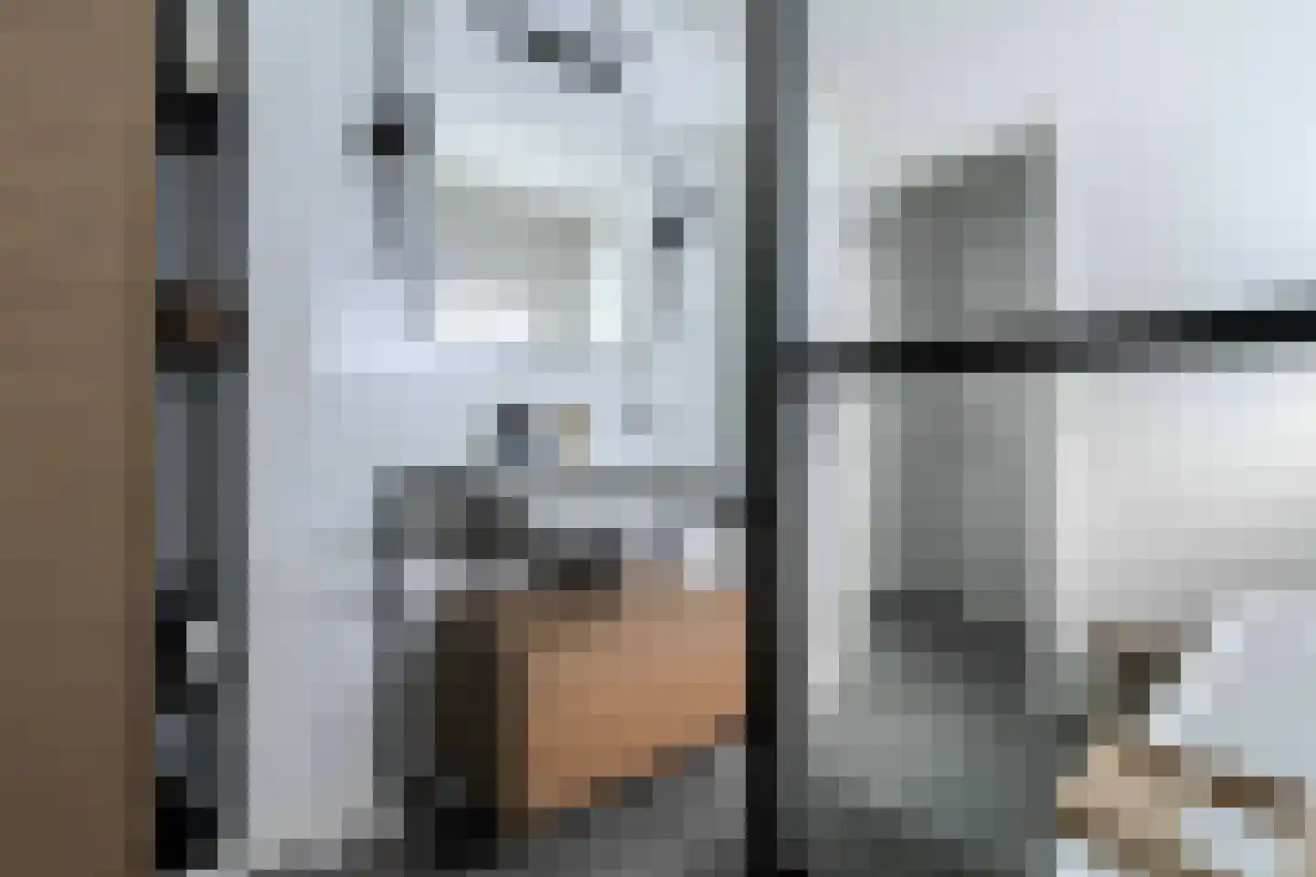 Longinastraat 70 Maastricht thumbnail 21