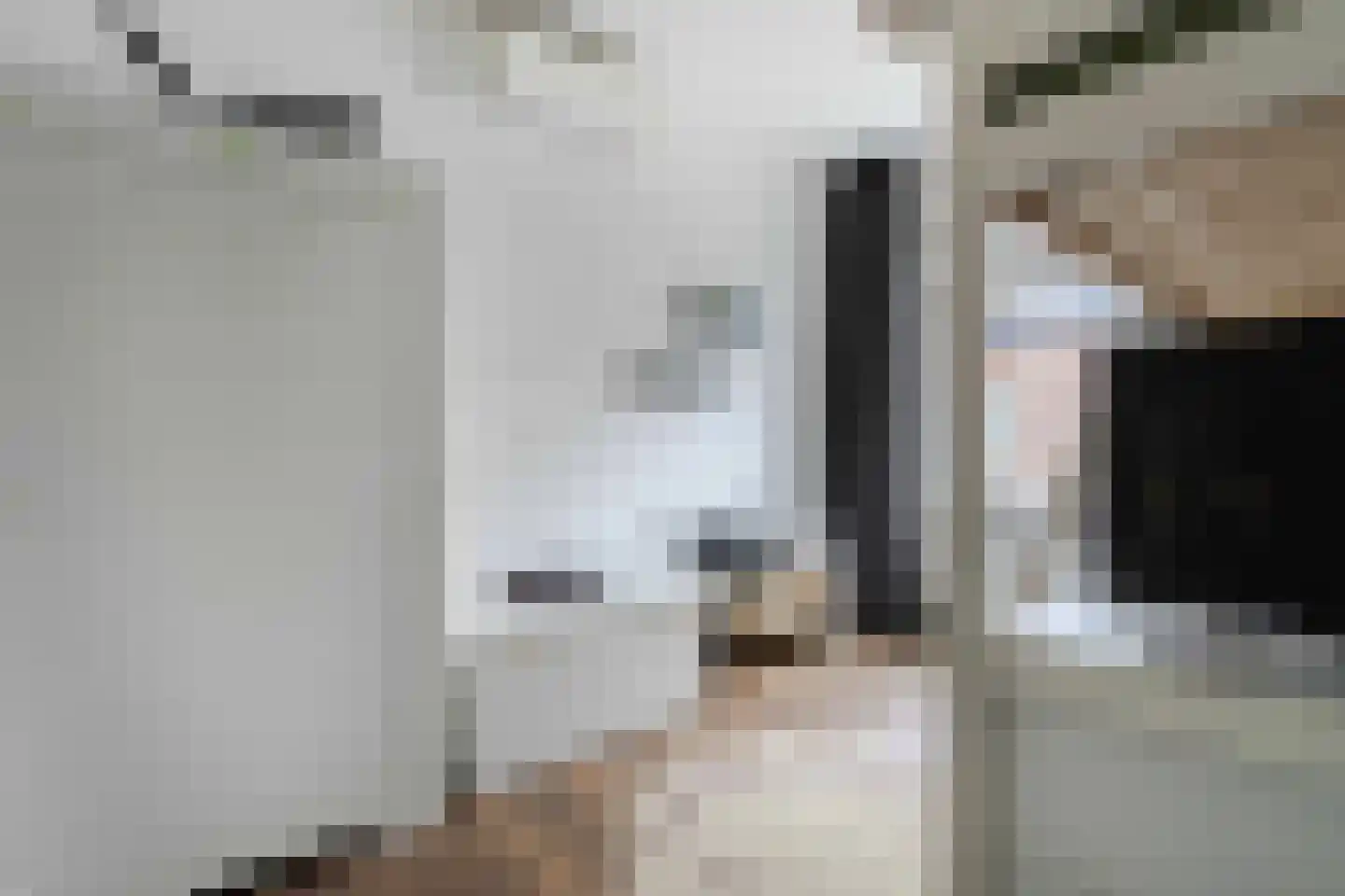 Longinastraat 70 Maastricht thumbnail 29