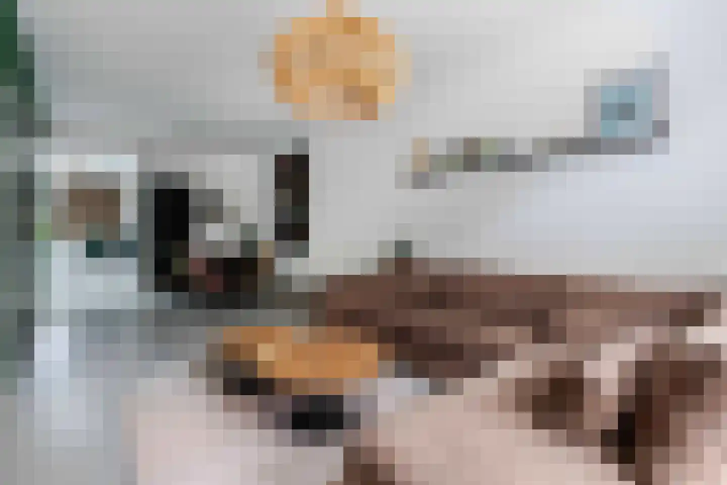 Longinastraat 70 Maastricht thumbnail 5