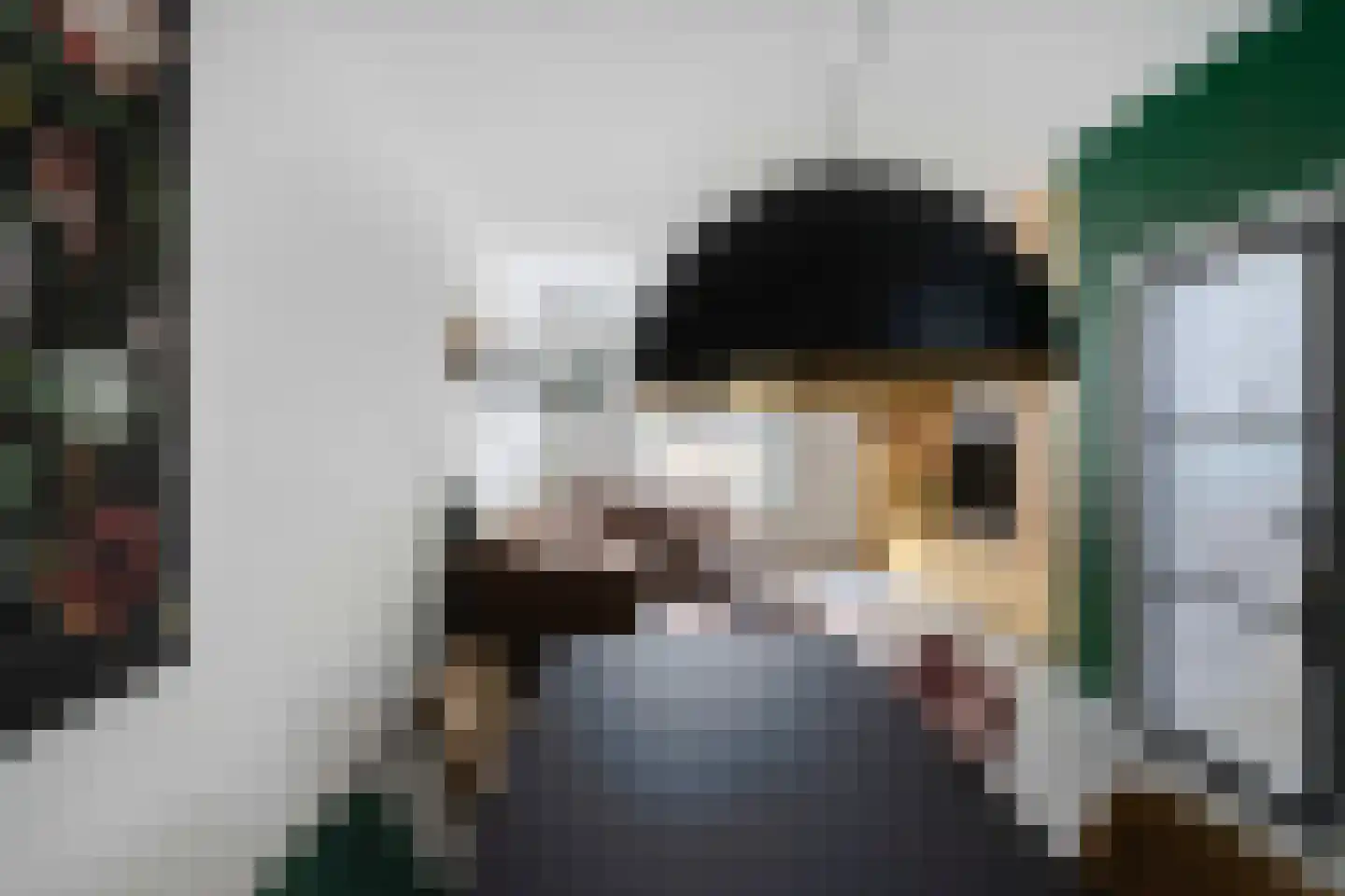 Longinastraat 70 Maastricht thumbnail 8