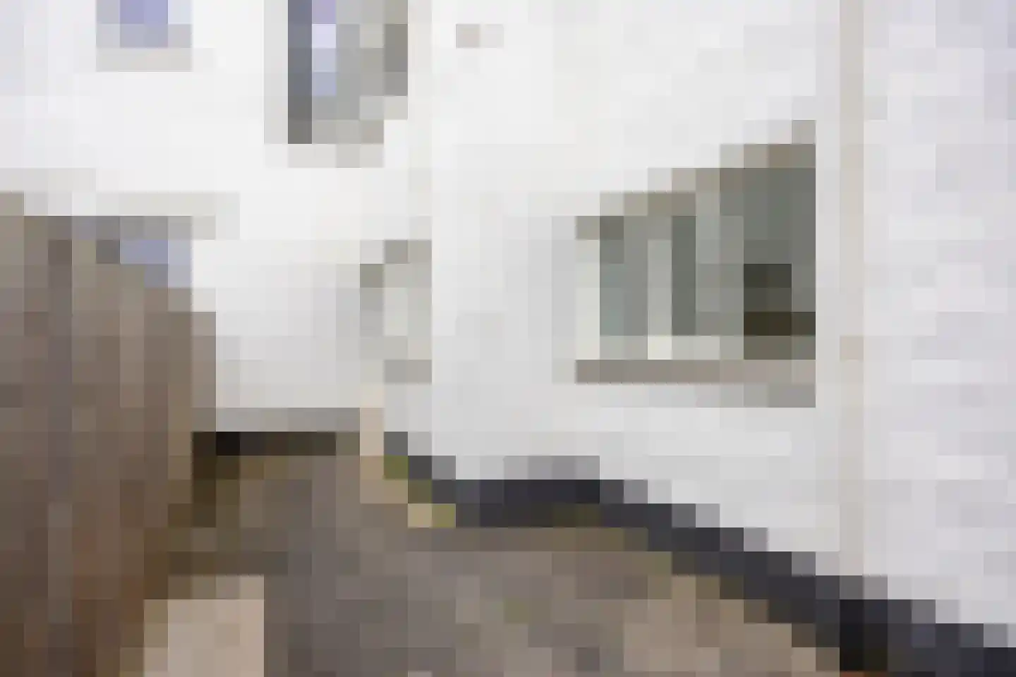 Longinastraat 73 A 03 Maastricht thumbnail 11