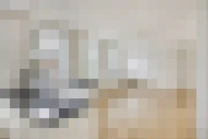 Longinastraat 75 B 01 Maastricht thumbnail 8