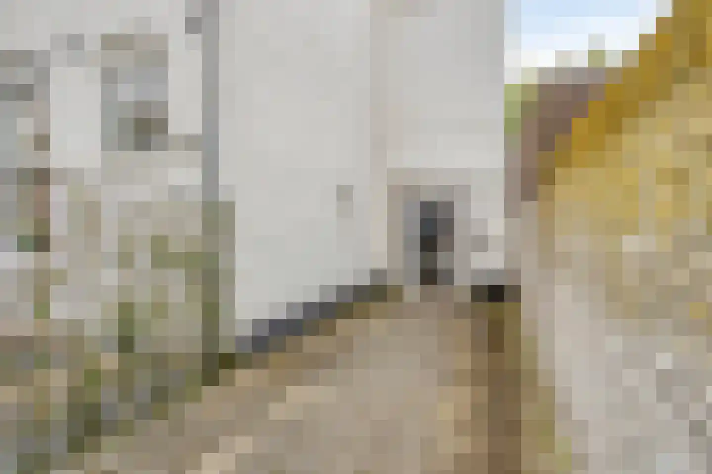 Longinastraat 75 B 02 Maastricht thumbnail 4