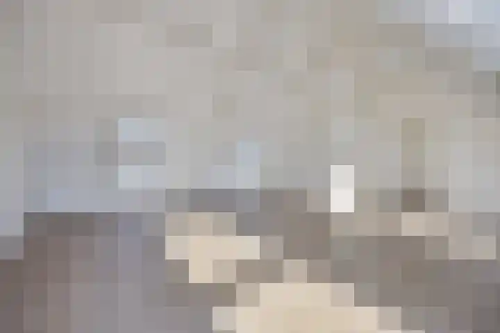Longinastraat 75 C Maastricht thumbnail 10