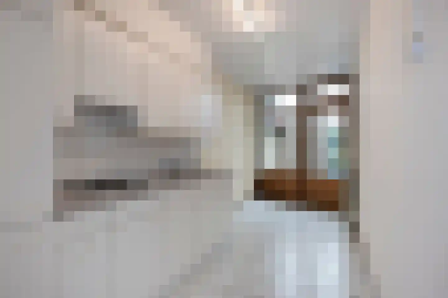 Longinastraat 82 Maastricht thumbnail 17
