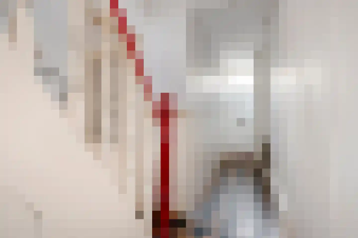 Longinastraat 82 Maastricht thumbnail 5